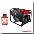 BISON(CHINA) Generator Supplier All Kinds Of Gas Generator, LPG Generator, Biogas Generator